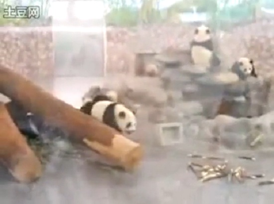Pandas al escape