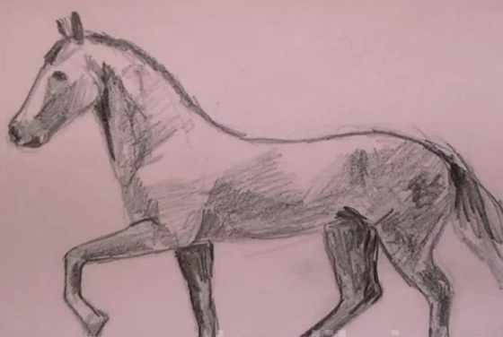 Como dibujar un caballo a Lápiz